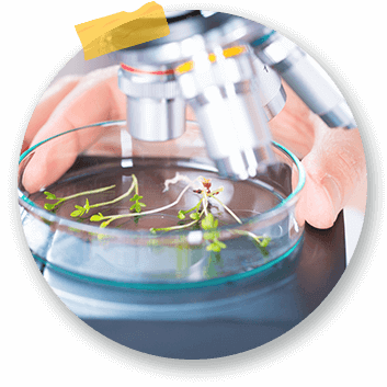 chinese tuition centre tampines